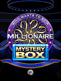 Millionaire Mystery Box