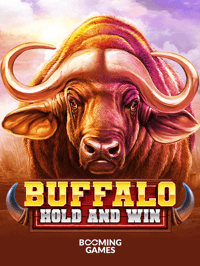 Buffalo Hold and Win
