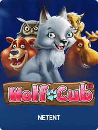 Wolf Cub