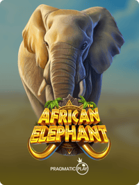 African Elephant