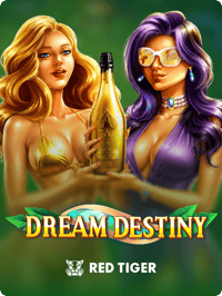 Dream Destiny