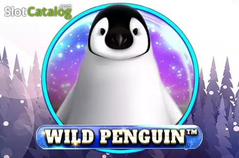 Wild Penguin